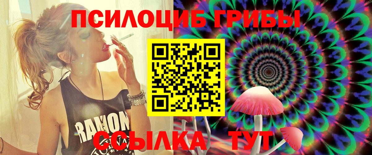 наркота  Галлюциногенные грибы MAGIC MUSHROOMS  Вход с VPN  Новороссийск  Псилоцибиновые грибы ЛСД 
